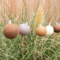Cotton Ball Lights Outdoor lichtslinger - Starter Kit - Caramelo