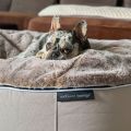 Hondenbed IndoorOutdoor Cappuccino - Medium
